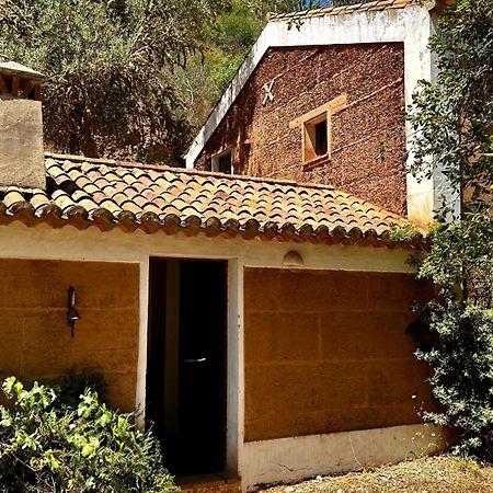 Troviscais Casas Da Cerca旅馆 外观 照片