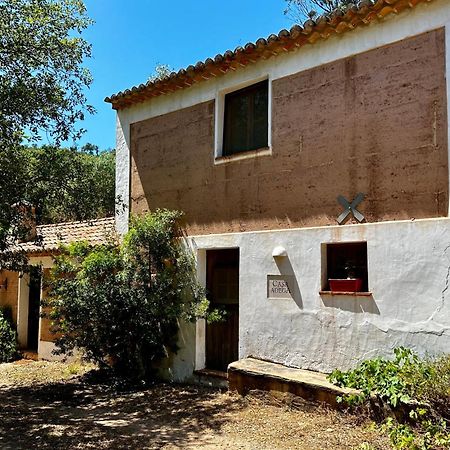 Troviscais Casas Da Cerca旅馆 外观 照片