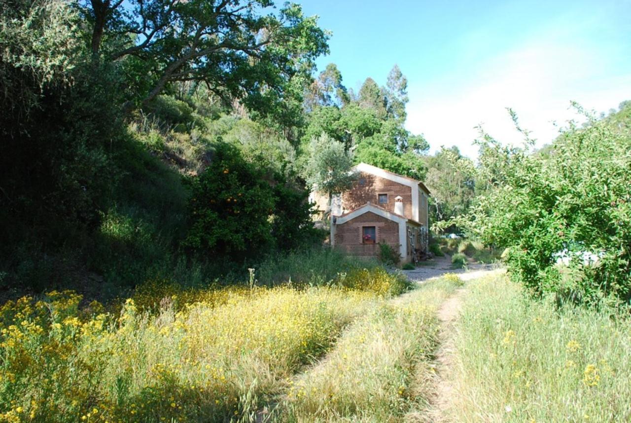 Troviscais Casas Da Cerca旅馆 外观 照片