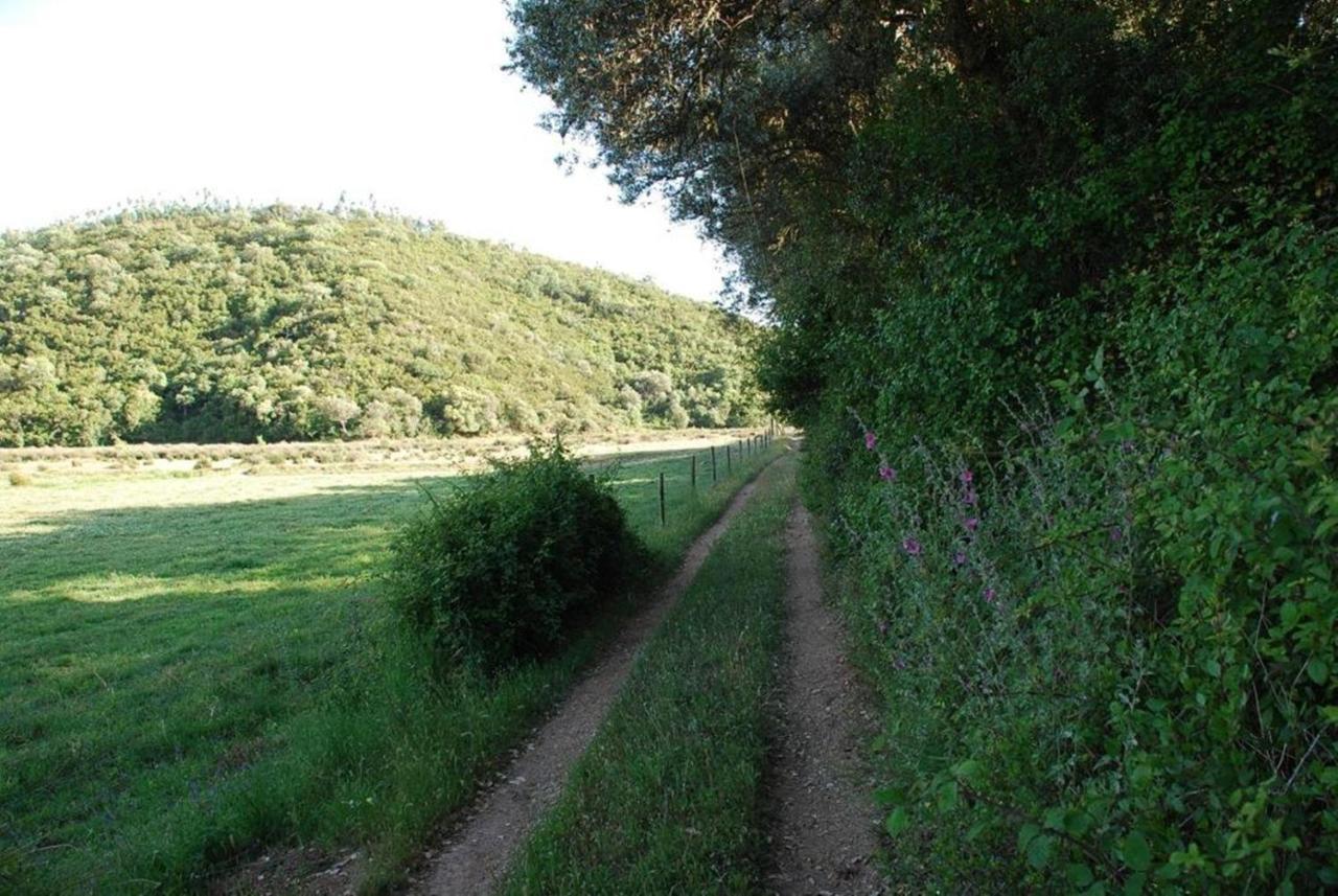 Troviscais Casas Da Cerca旅馆 外观 照片