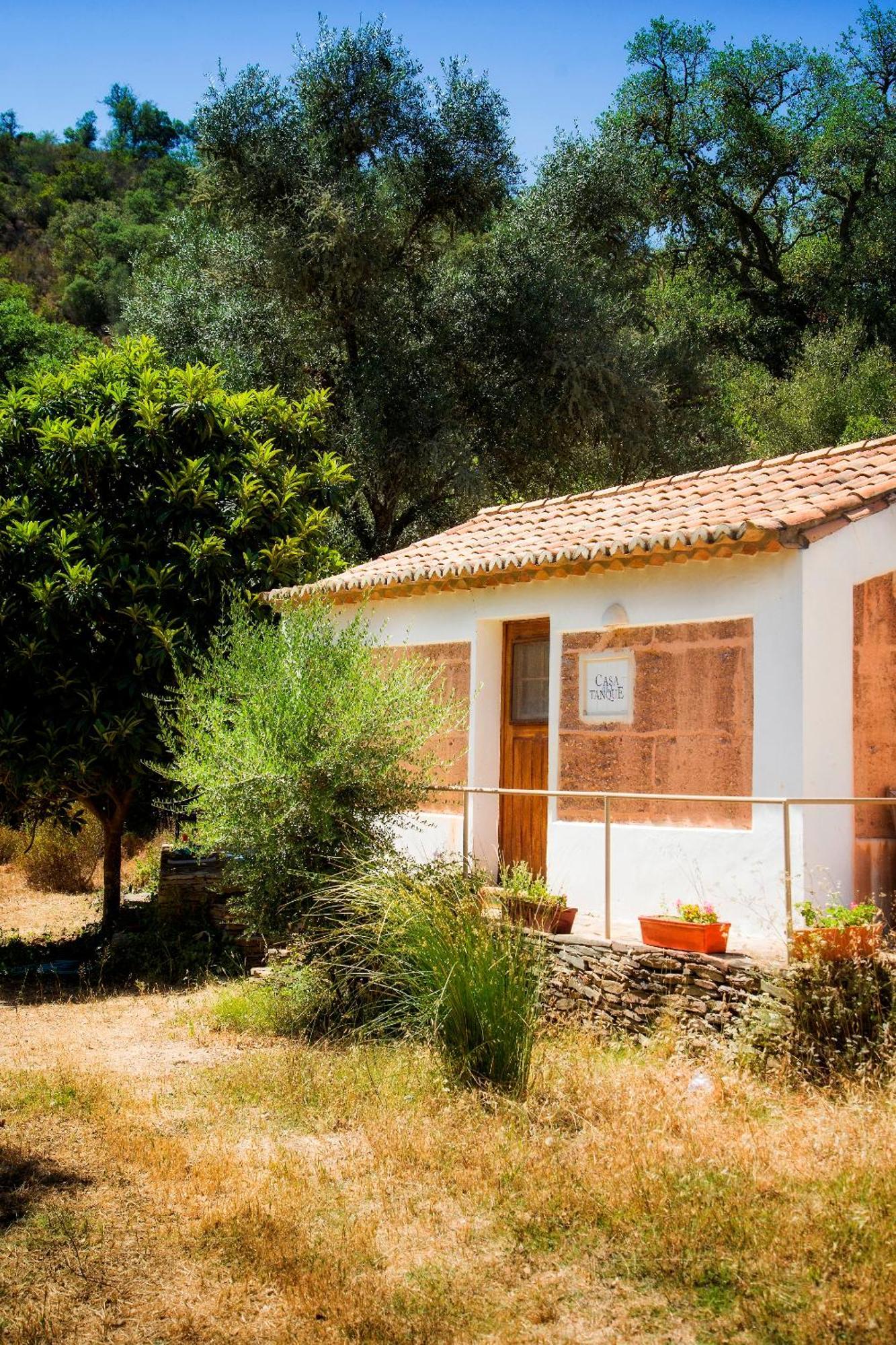 Troviscais Casas Da Cerca旅馆 外观 照片